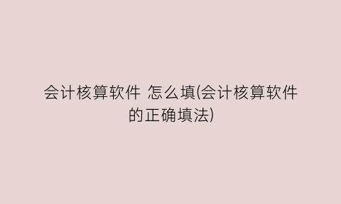 会计核算软件怎么填(会计核算软件的正确填法)